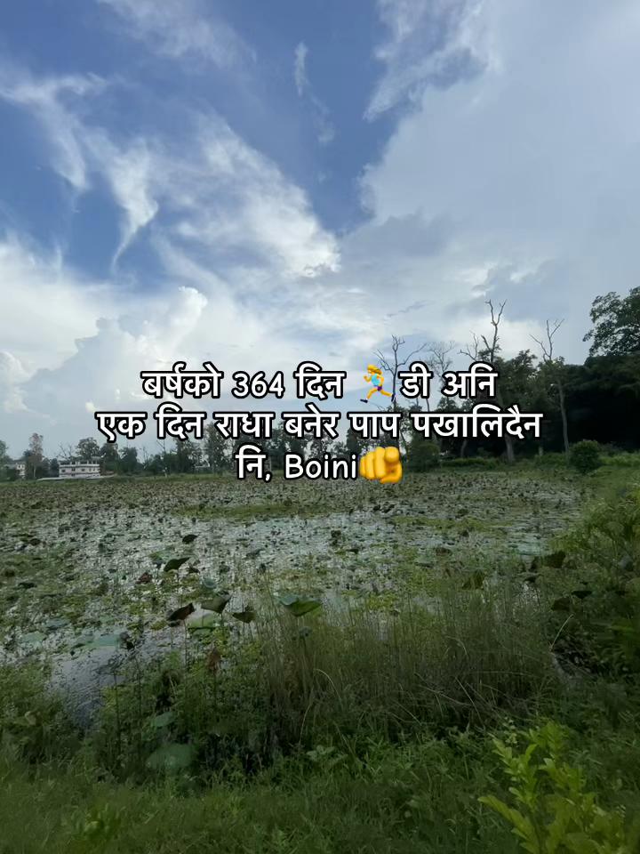 @LYLY 