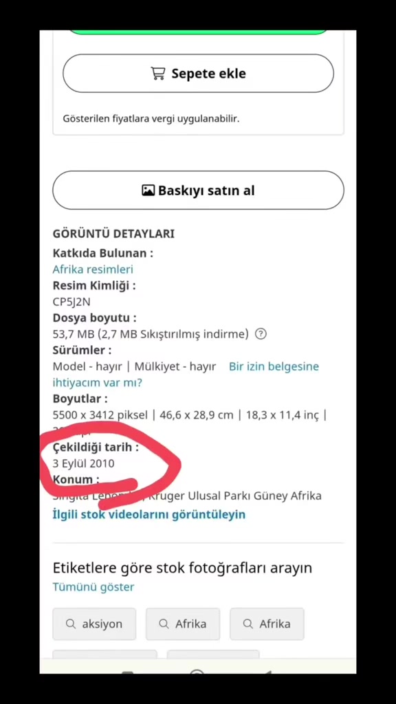 @KİNG MR.T