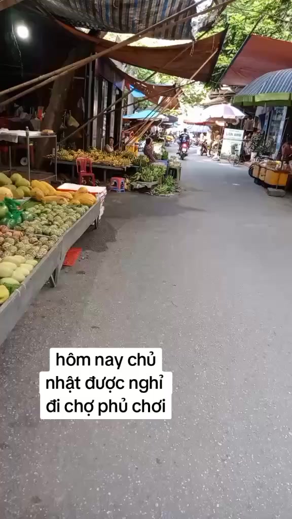 @như ngọc 588