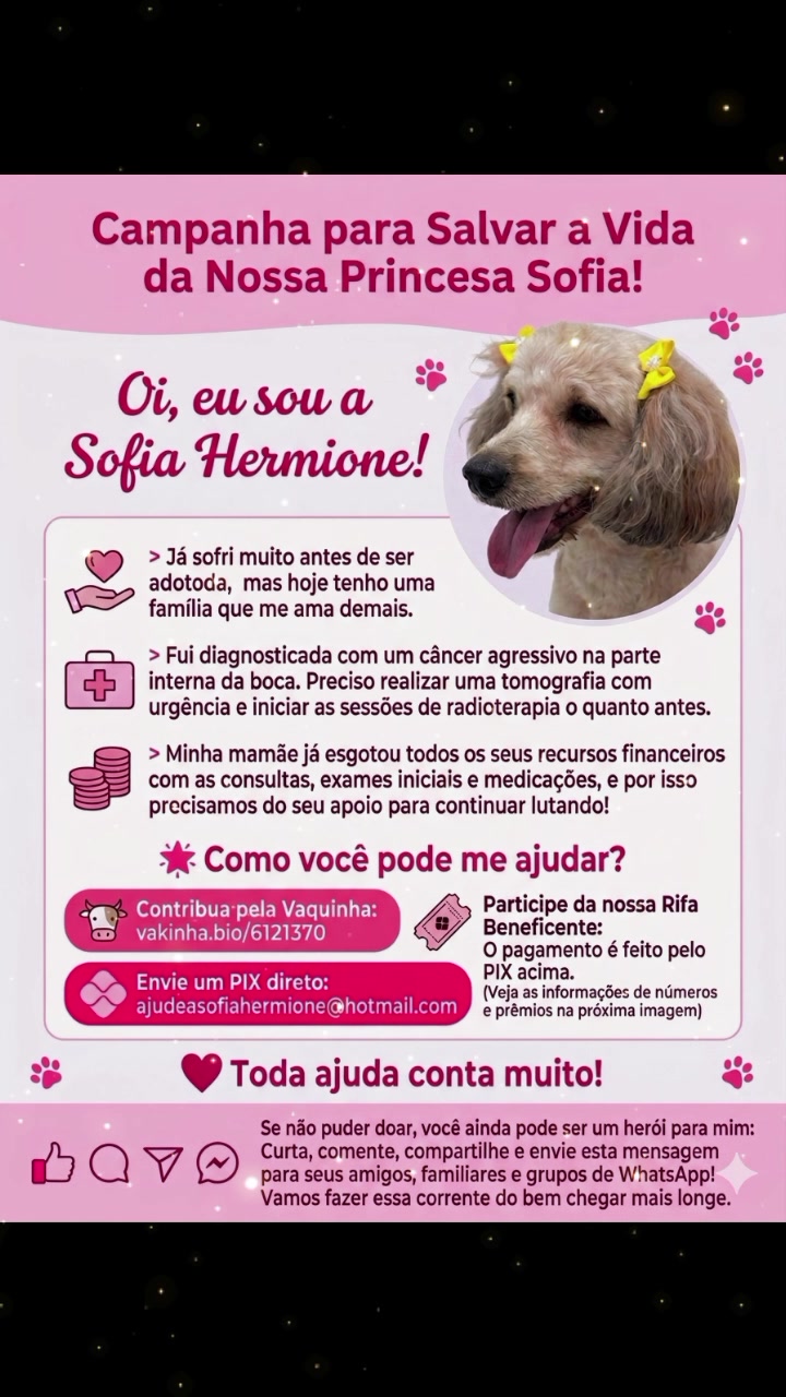@Sofia Hermione