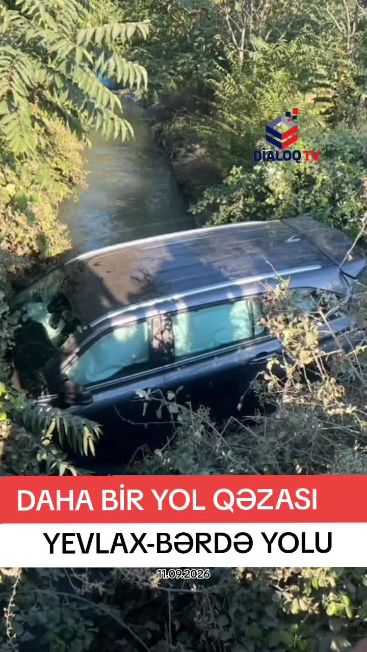 @DİALOQ TV