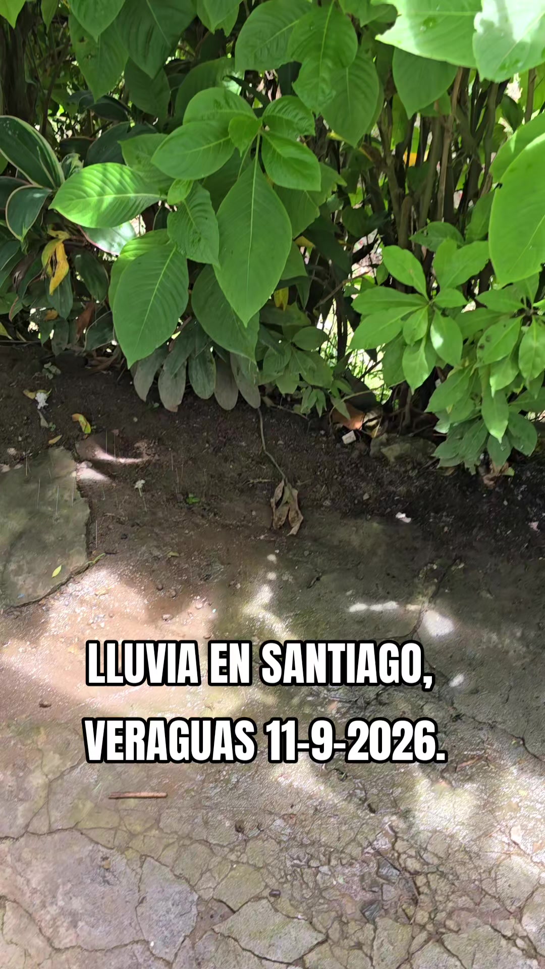 @Profe Gloria Camaño