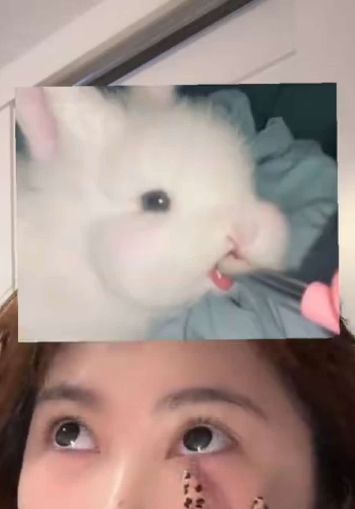 @pisingkit🥀