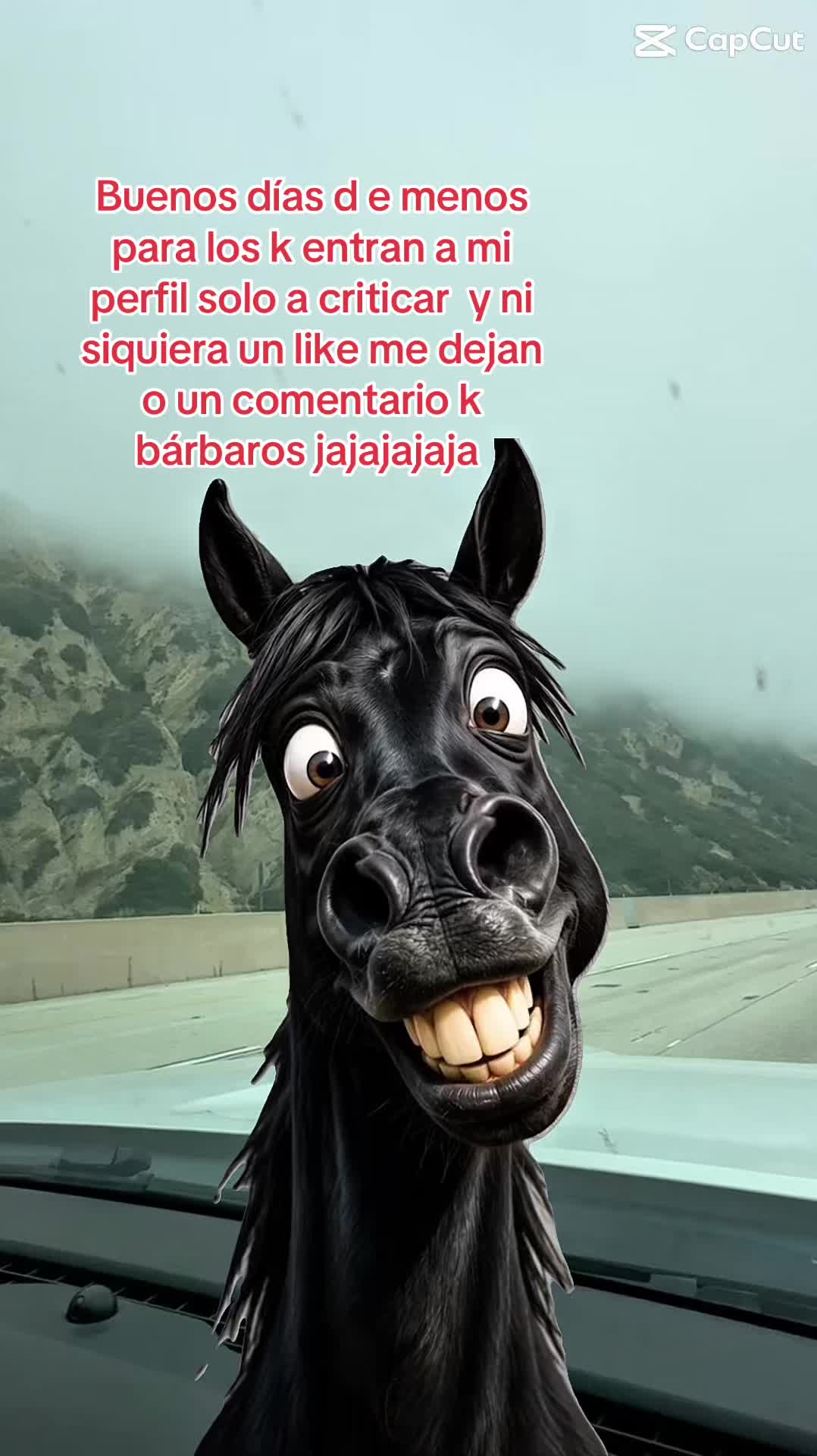@🤪💯LOQUITA 💯🤪