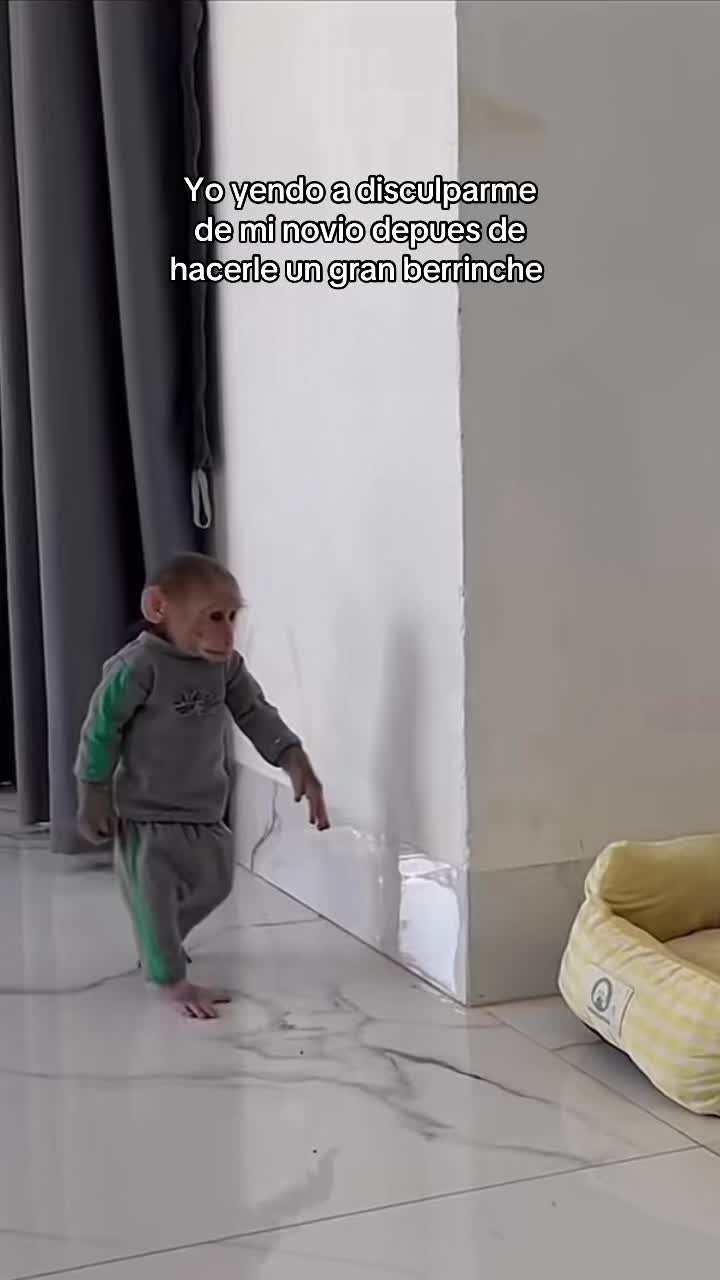 @jaremonox