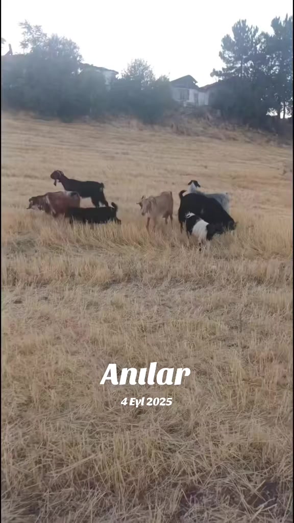 @yetiş çiçek