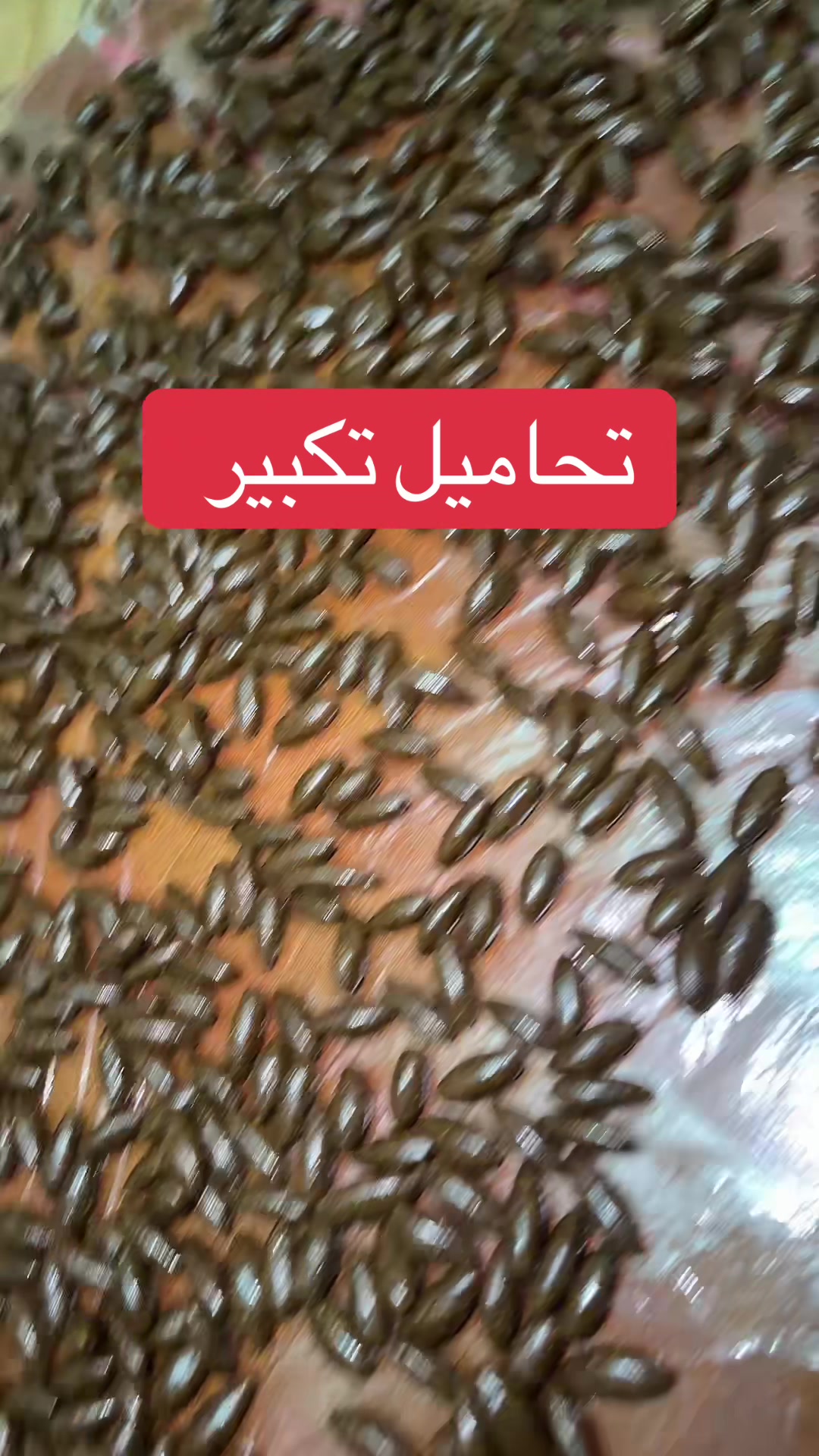 @souma_bio
