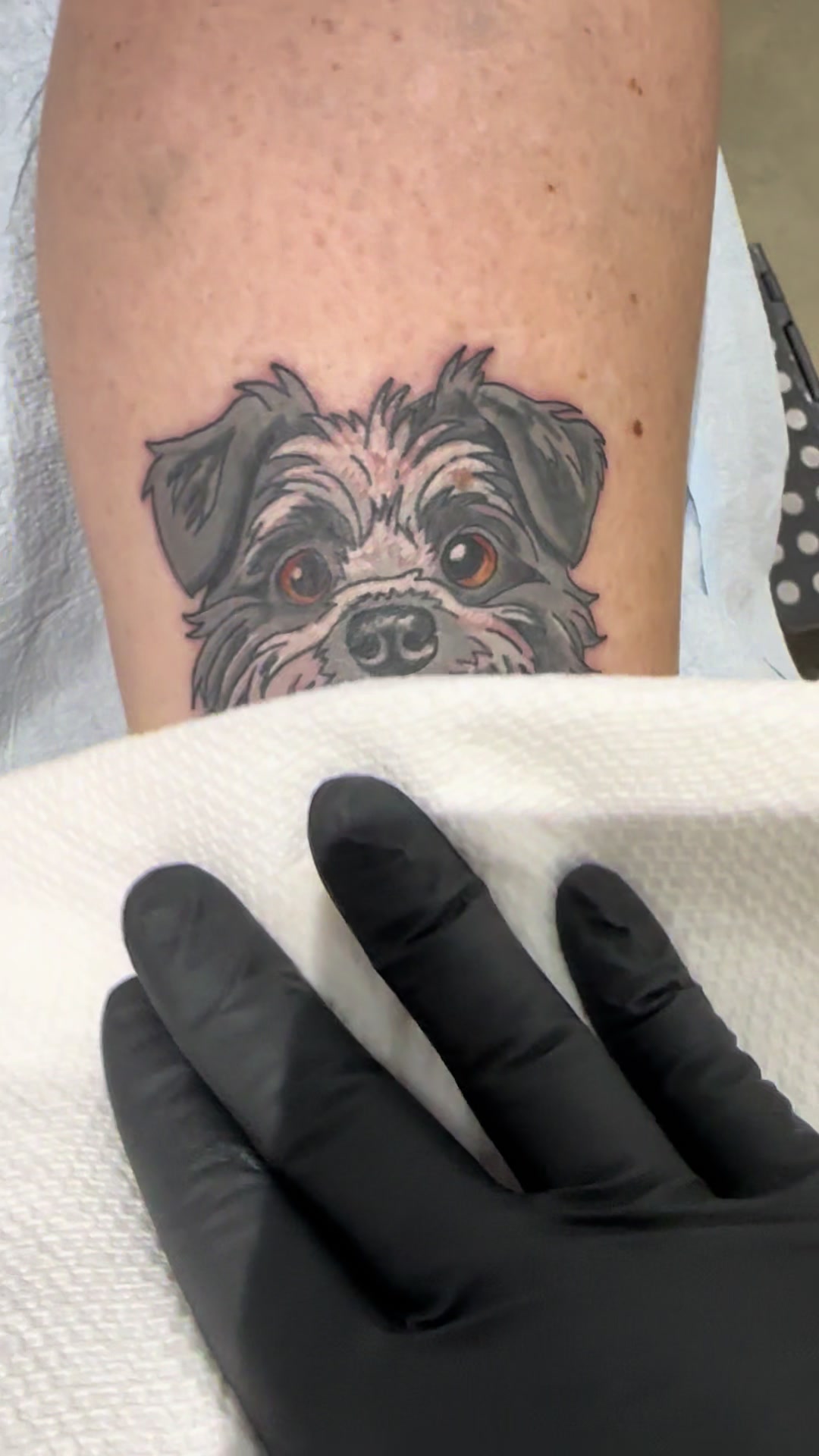 @Eleven_Tattooing