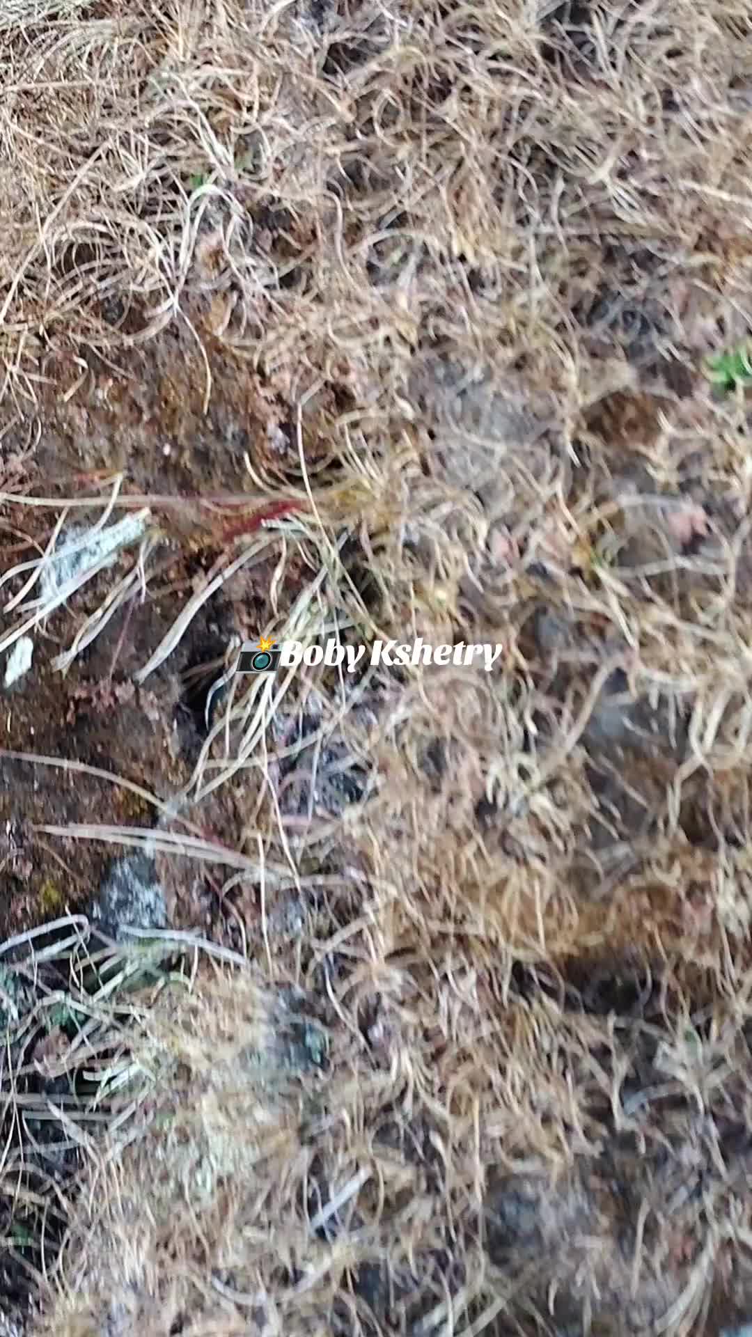 @Boby Kshetry (घुमन्ते❤️)