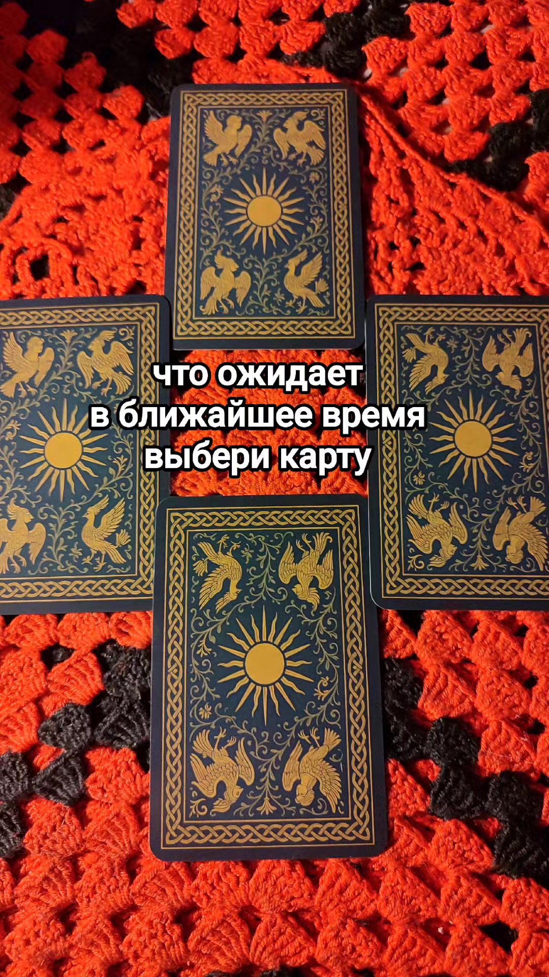 @user9894065413937