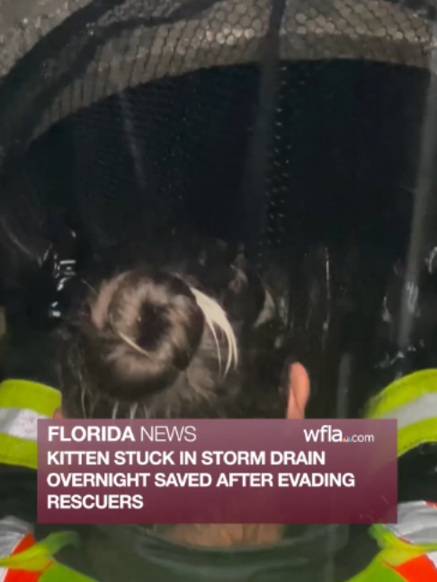 @WFLA News Channel 8