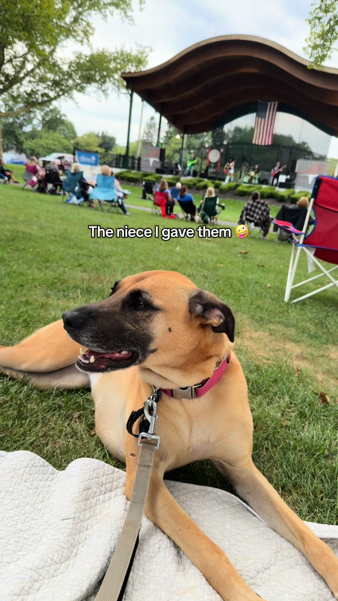 @Maggiemaytheshepherd