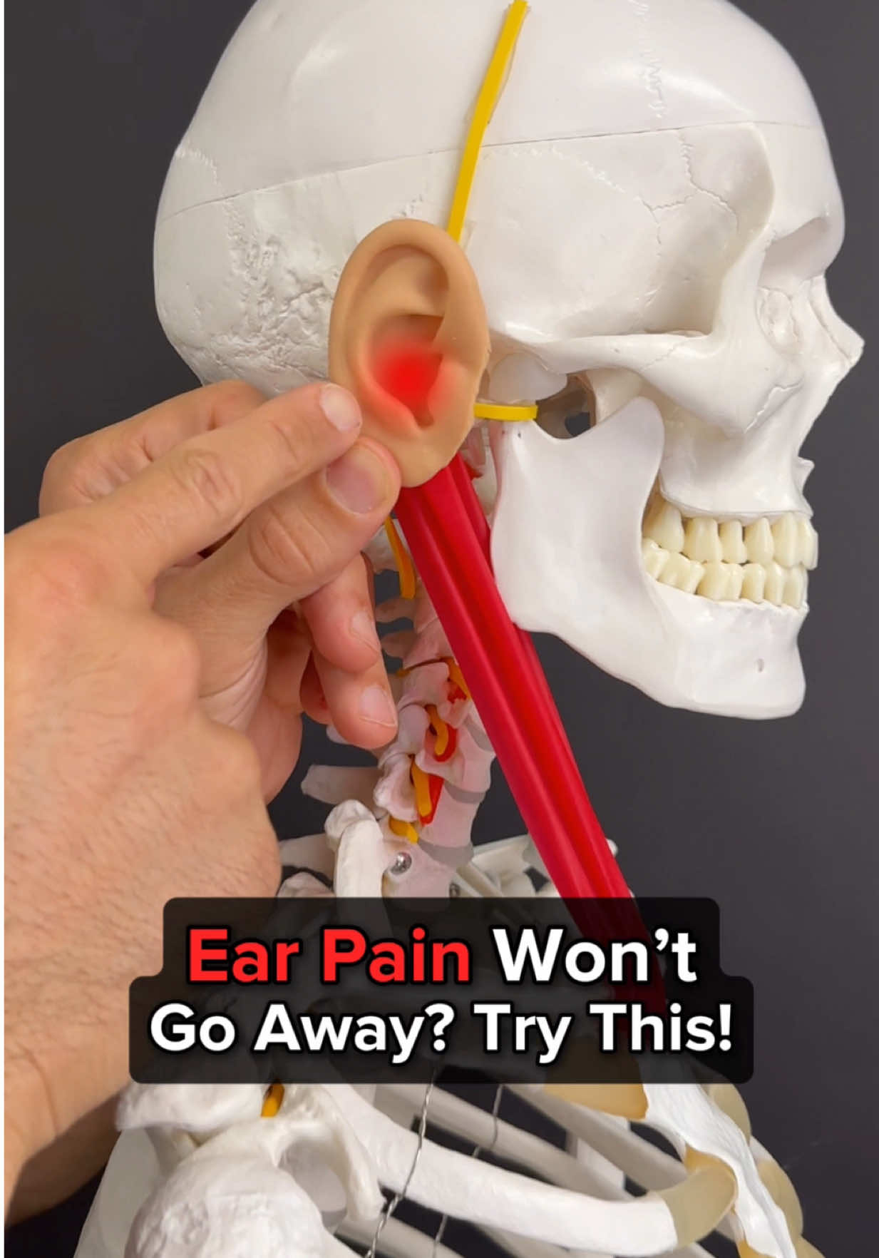 @Dr. Joe Damiani, DPT