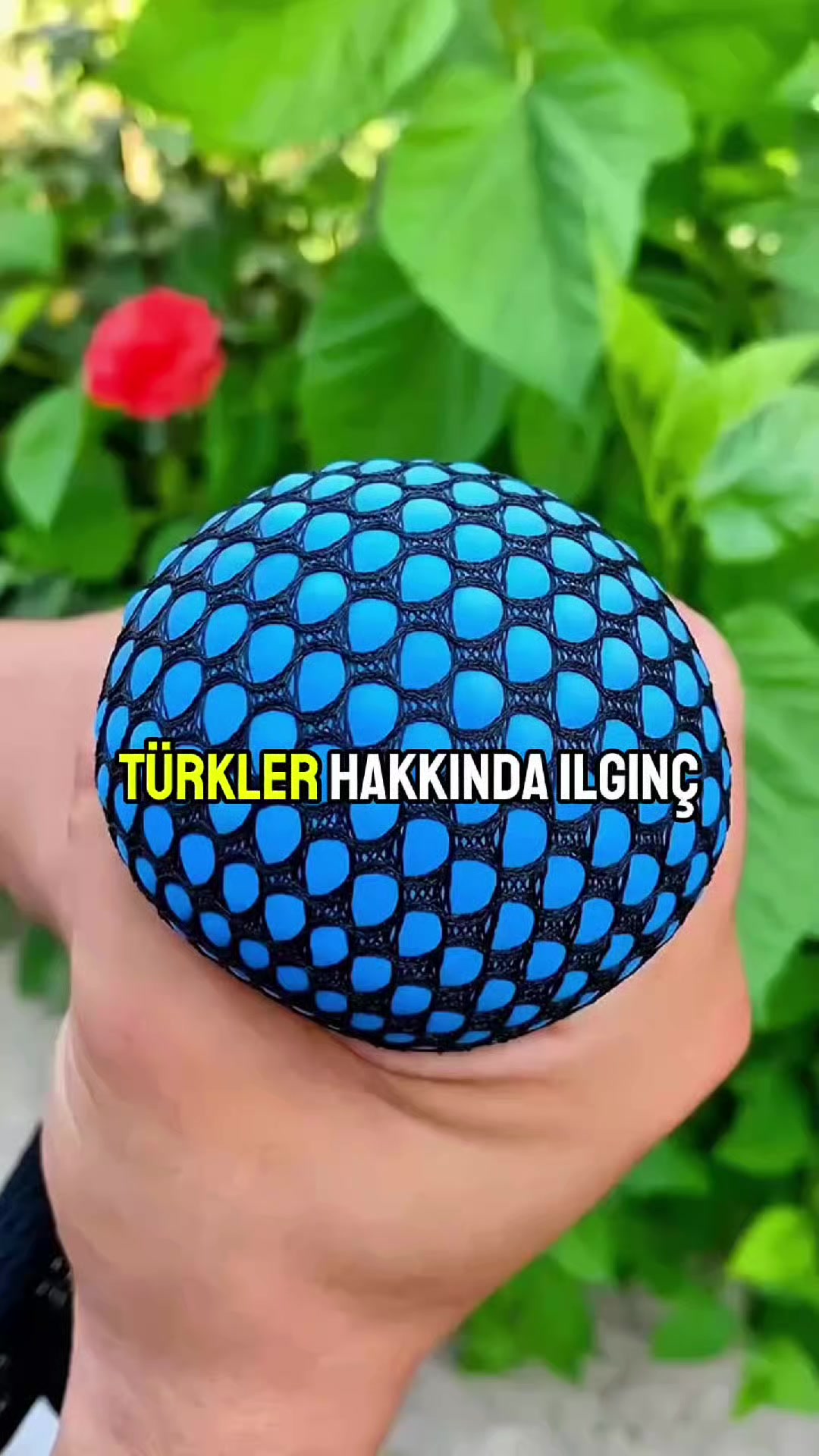 @Başarının yıldızları
