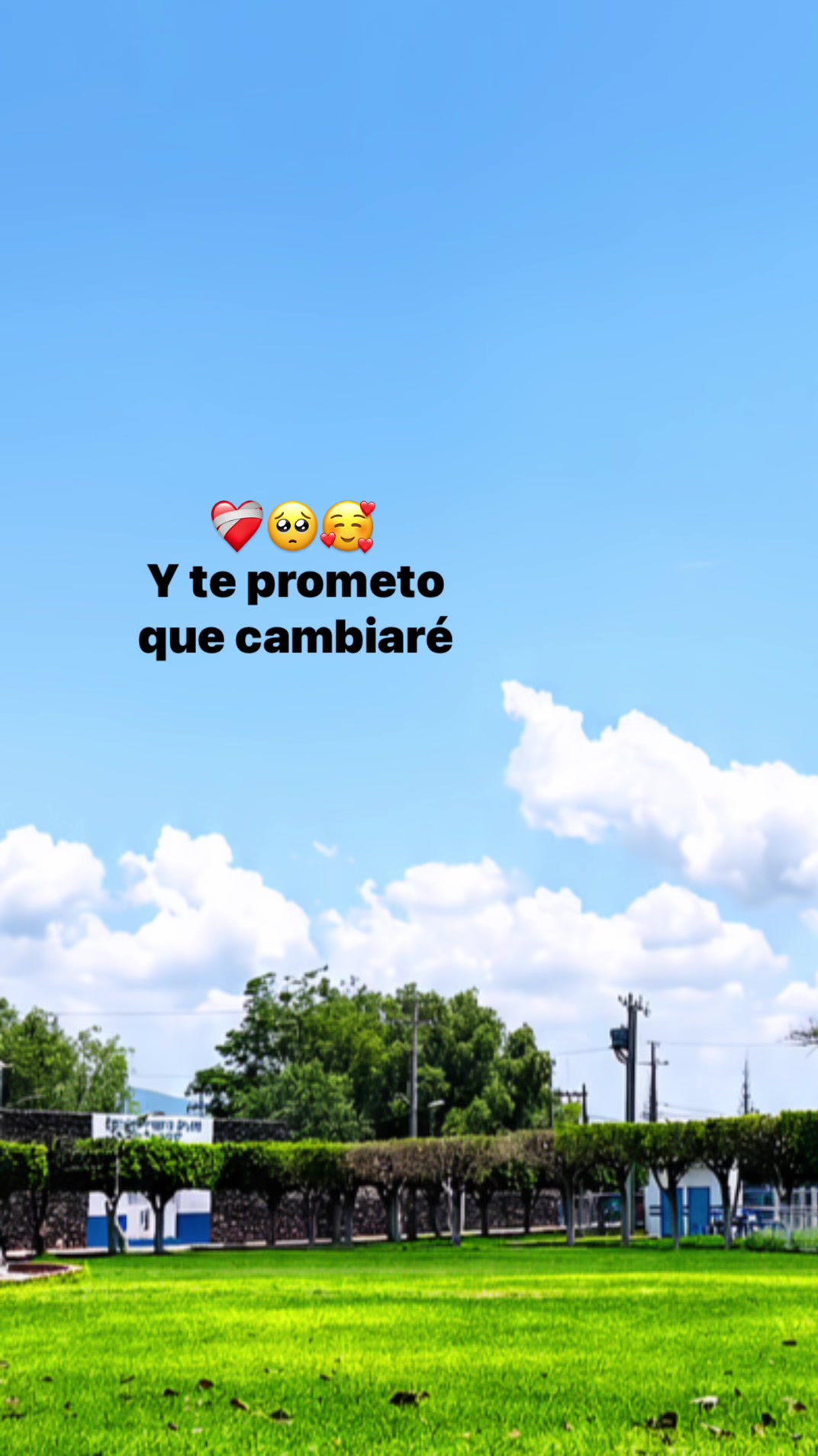 @lcia_65