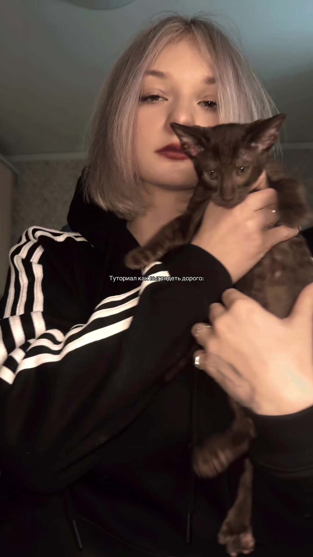 @Catuca.a🦉