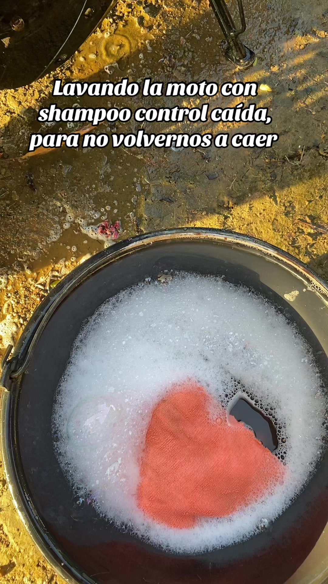 @Mayerline ☄️