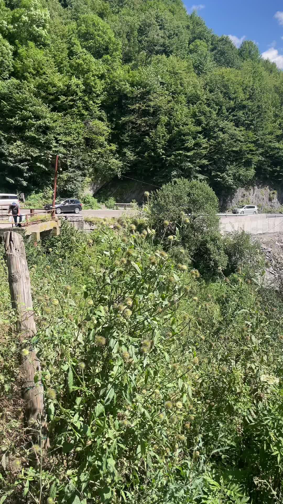 @фахрад🇷🇺
