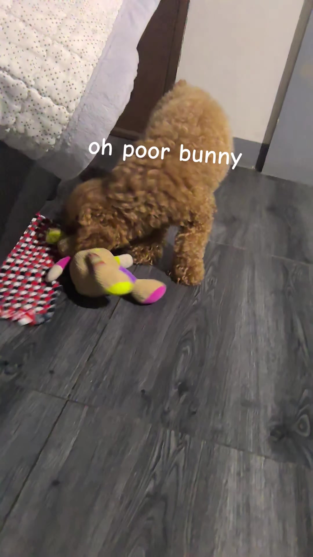 @🎀