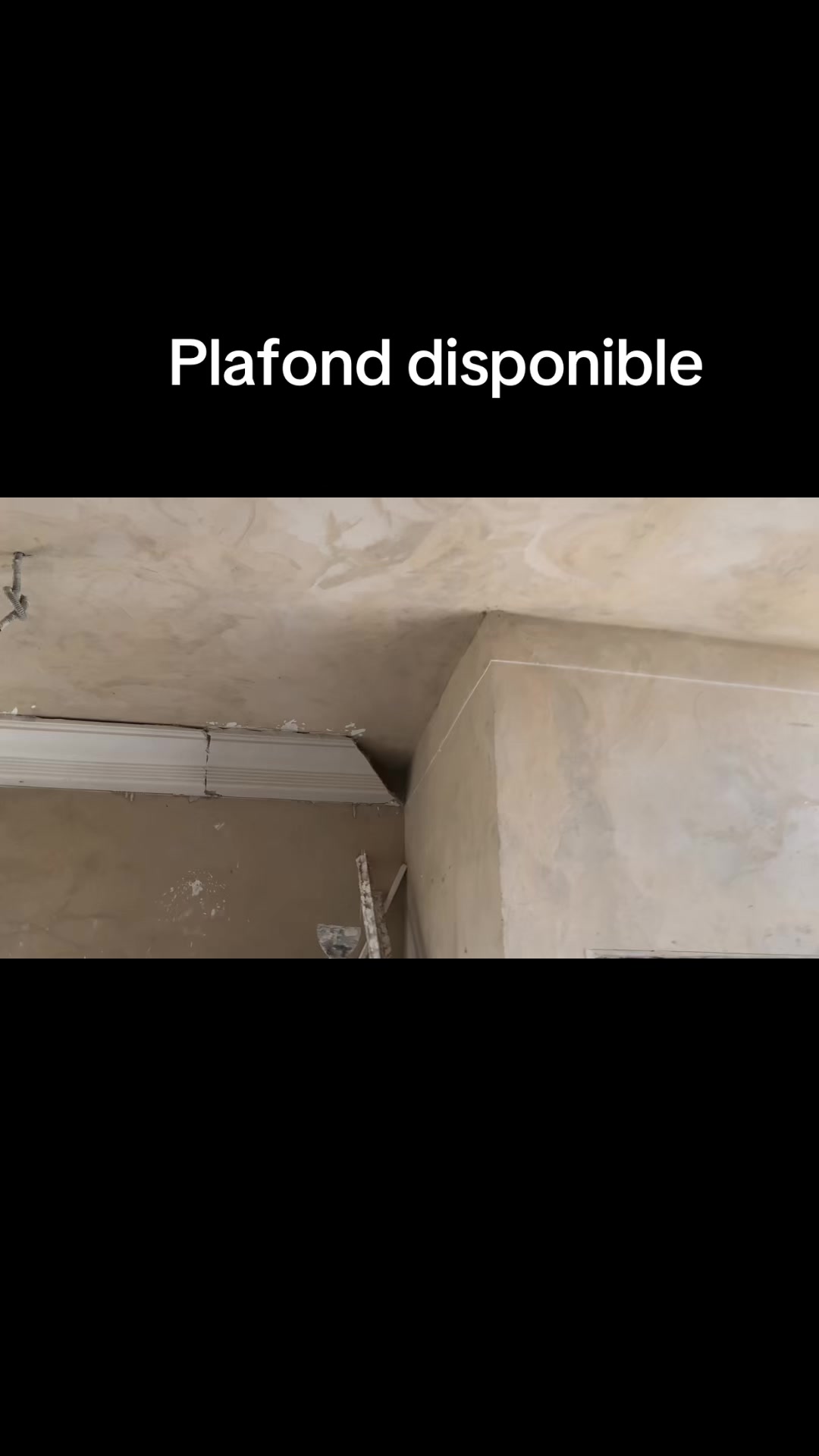 @Plafond 241✪🦺