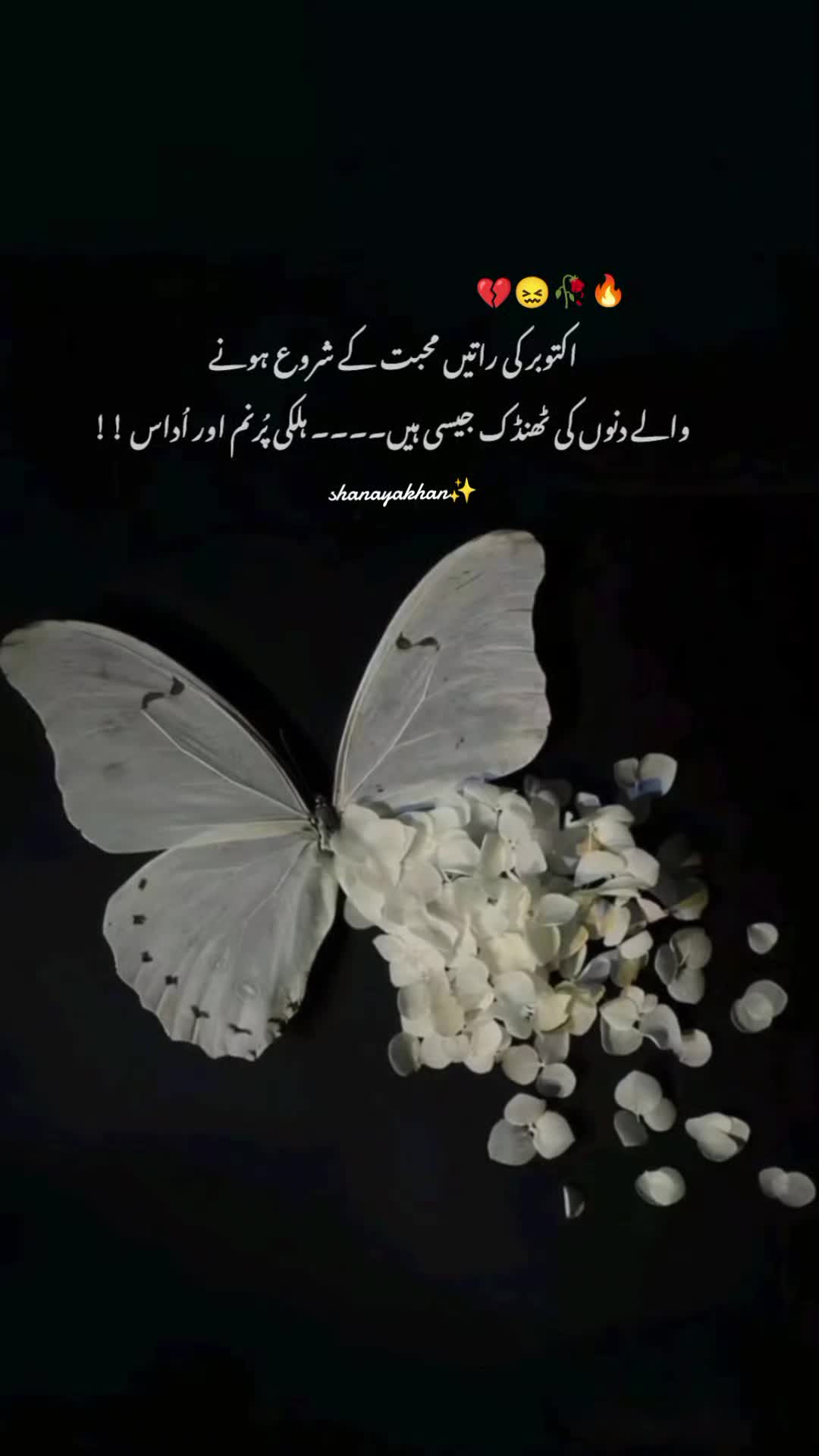 @shanaya