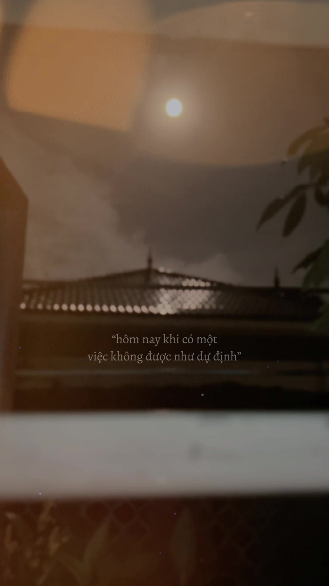 @Mỹ phẩm  T&oacute;c86