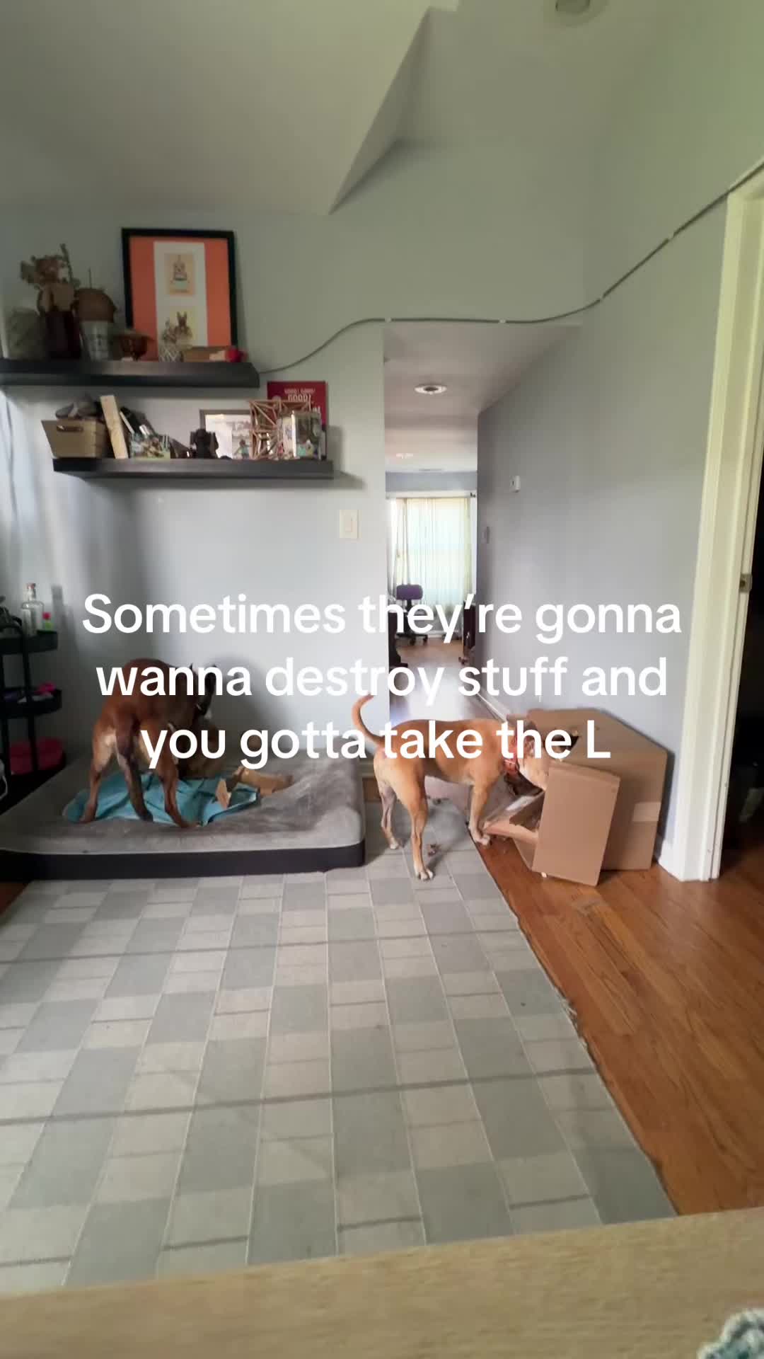 @dogstrainjen