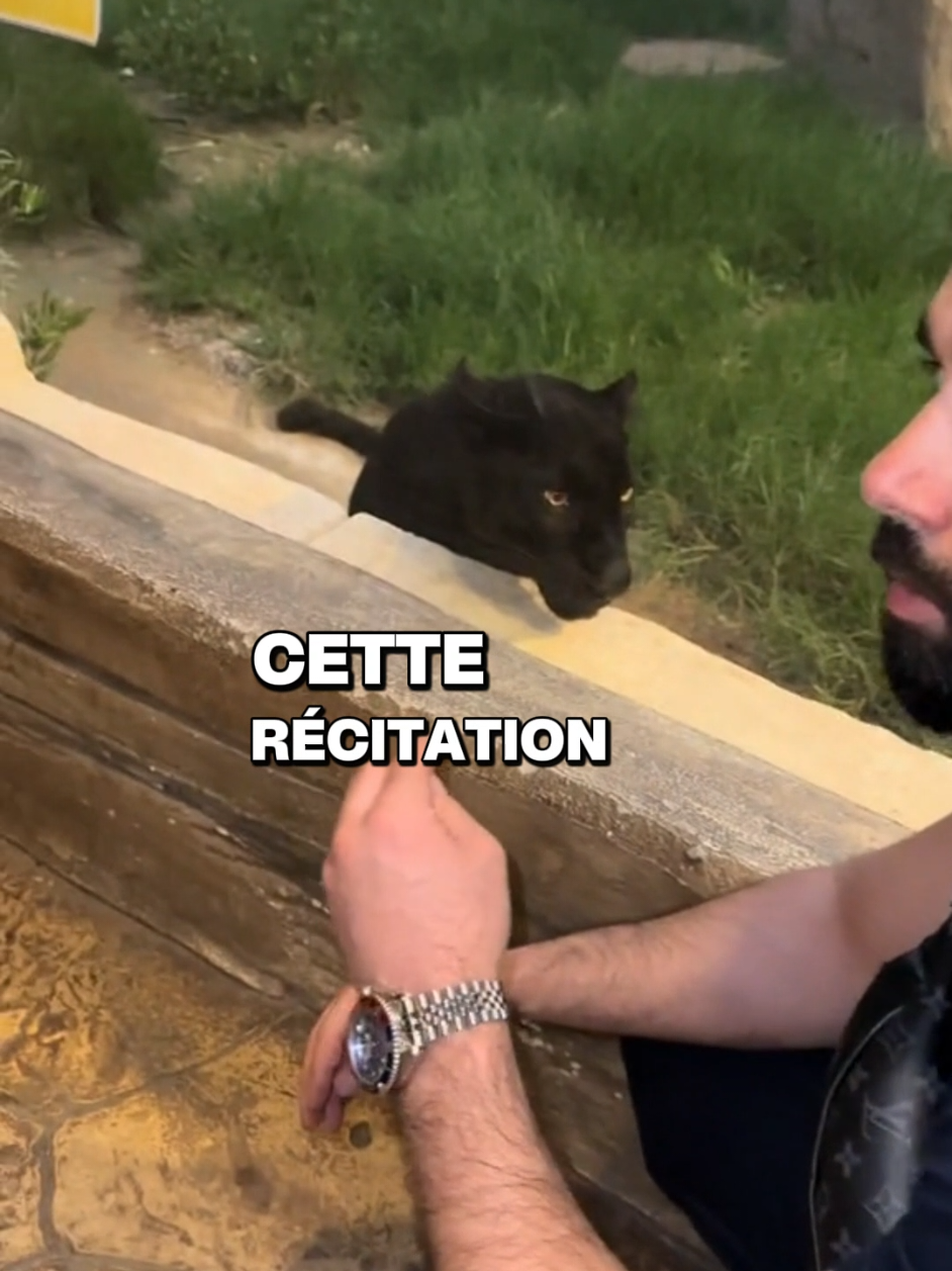 @lavoieduprophete