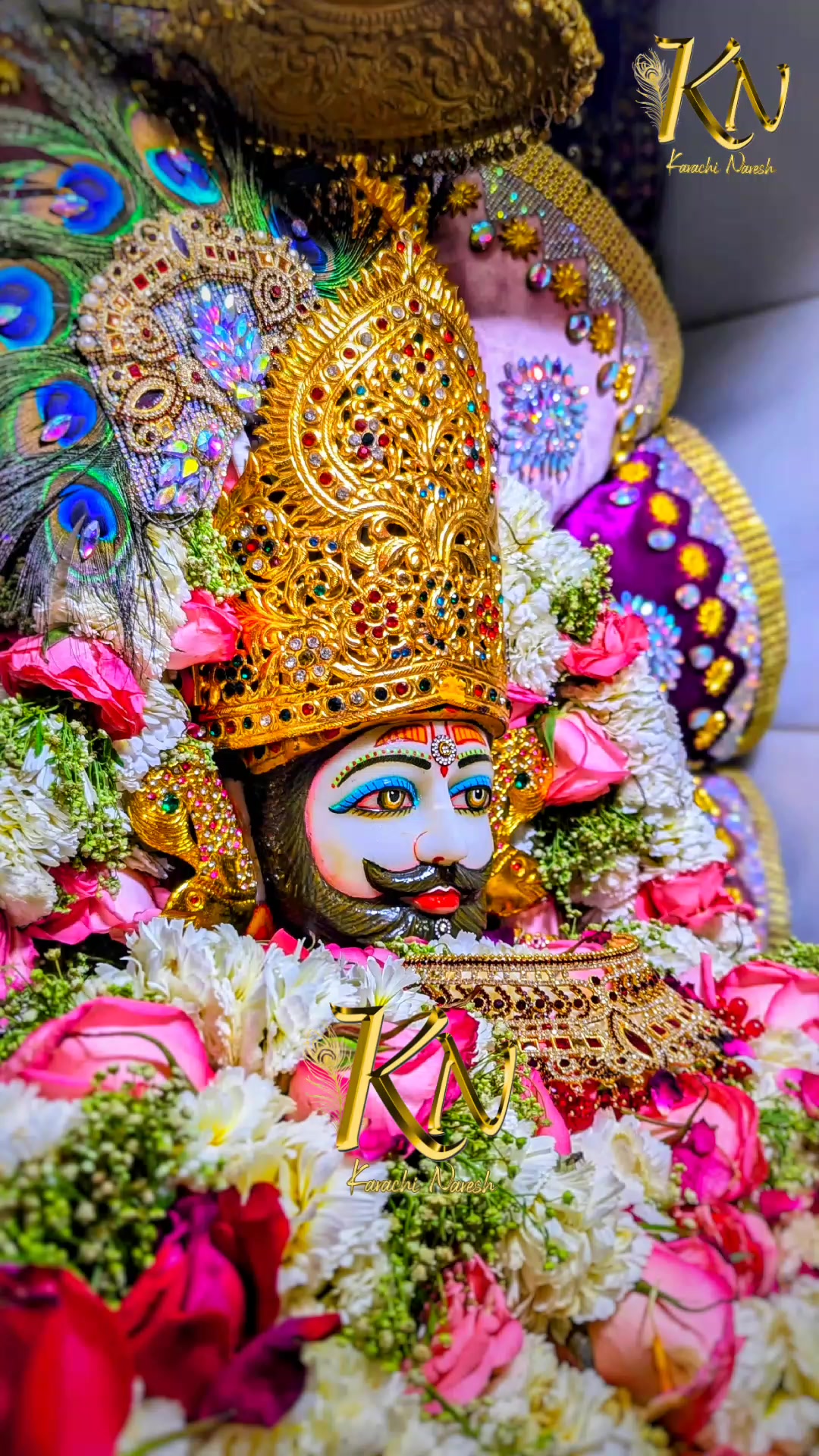 @shree shyam premi🫶🚩🕉️✨