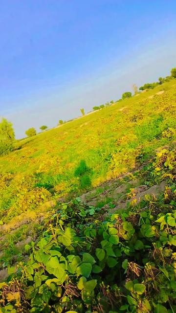 @MalikAwais🕊️