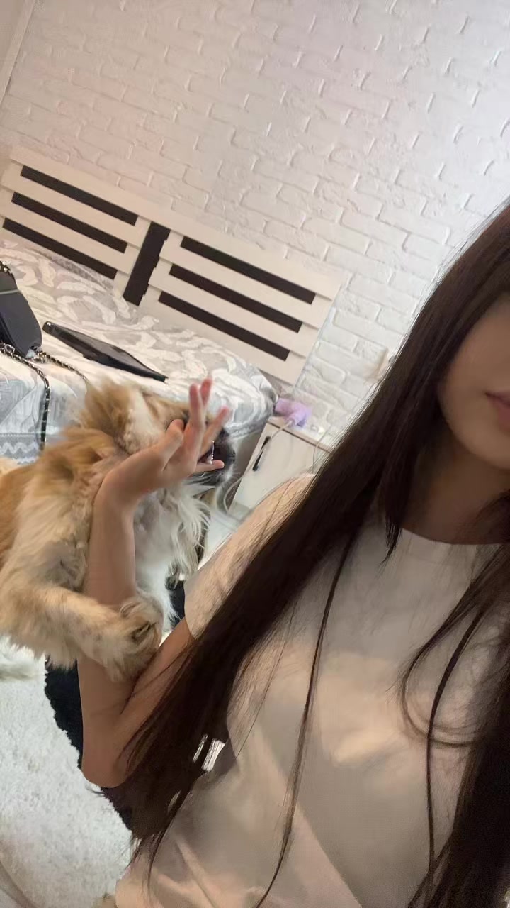@bl0odykittens