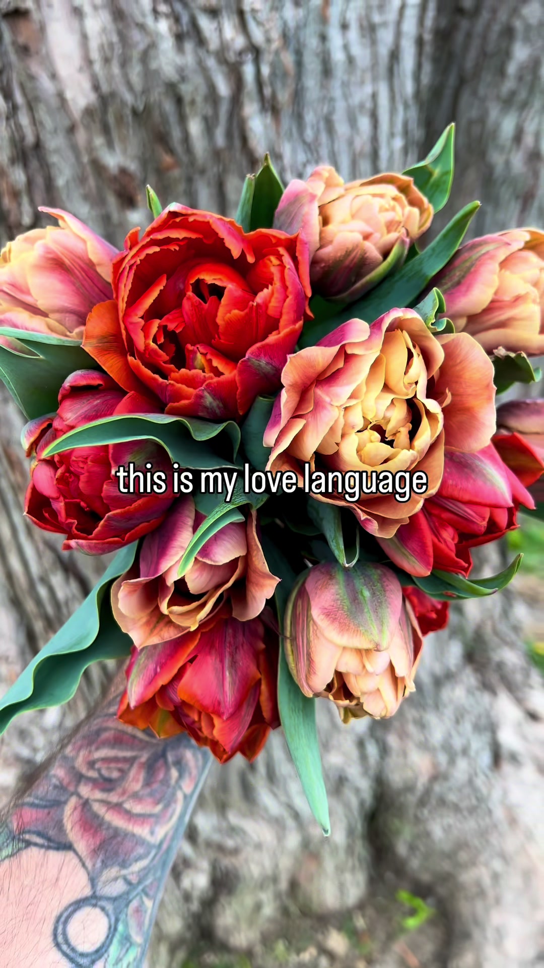 @Christopher | Flower Farmer