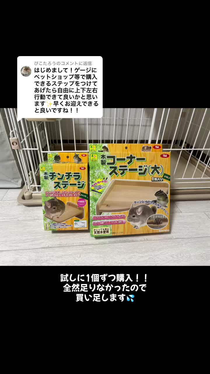 @チンチラ飼いたいアラサー女子