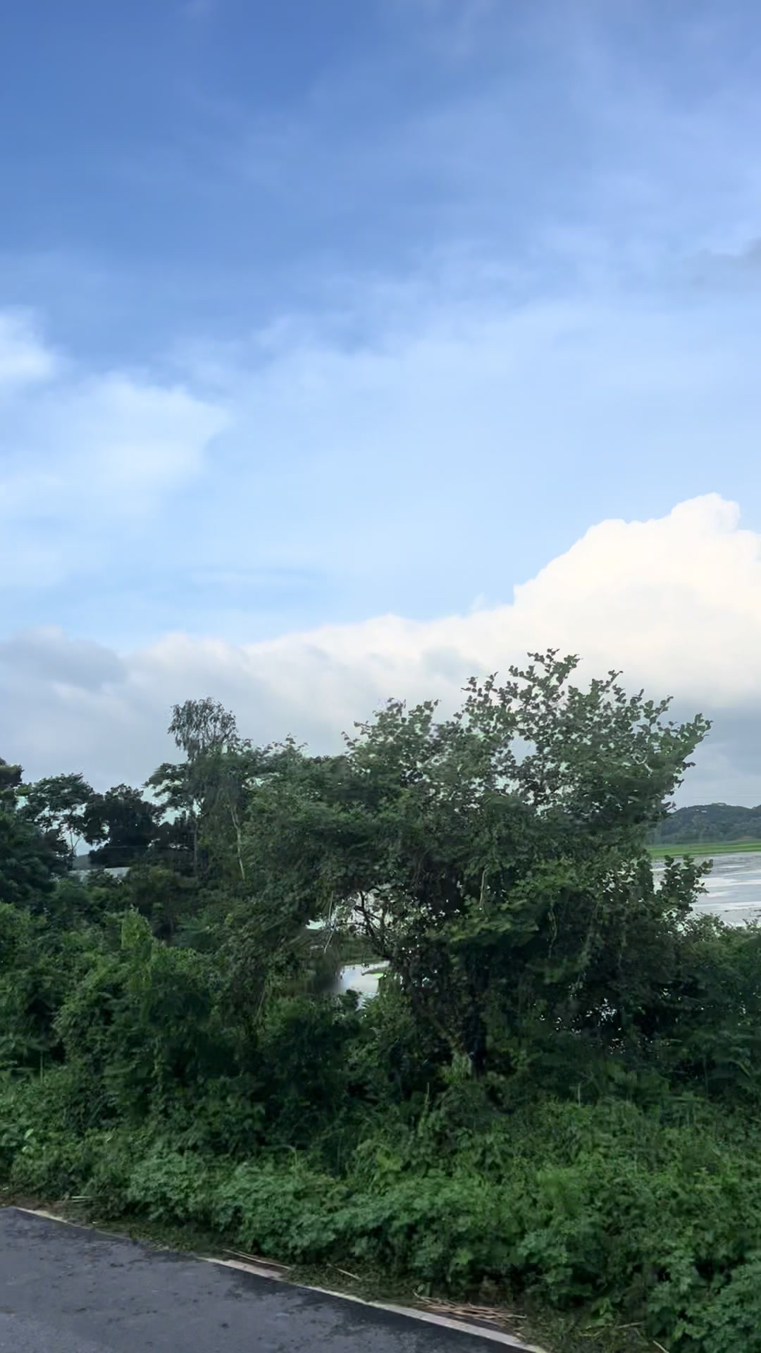 @মোহনা 🦋