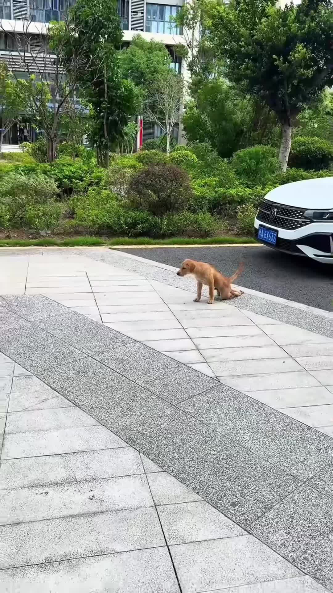 @cuteanimals472
