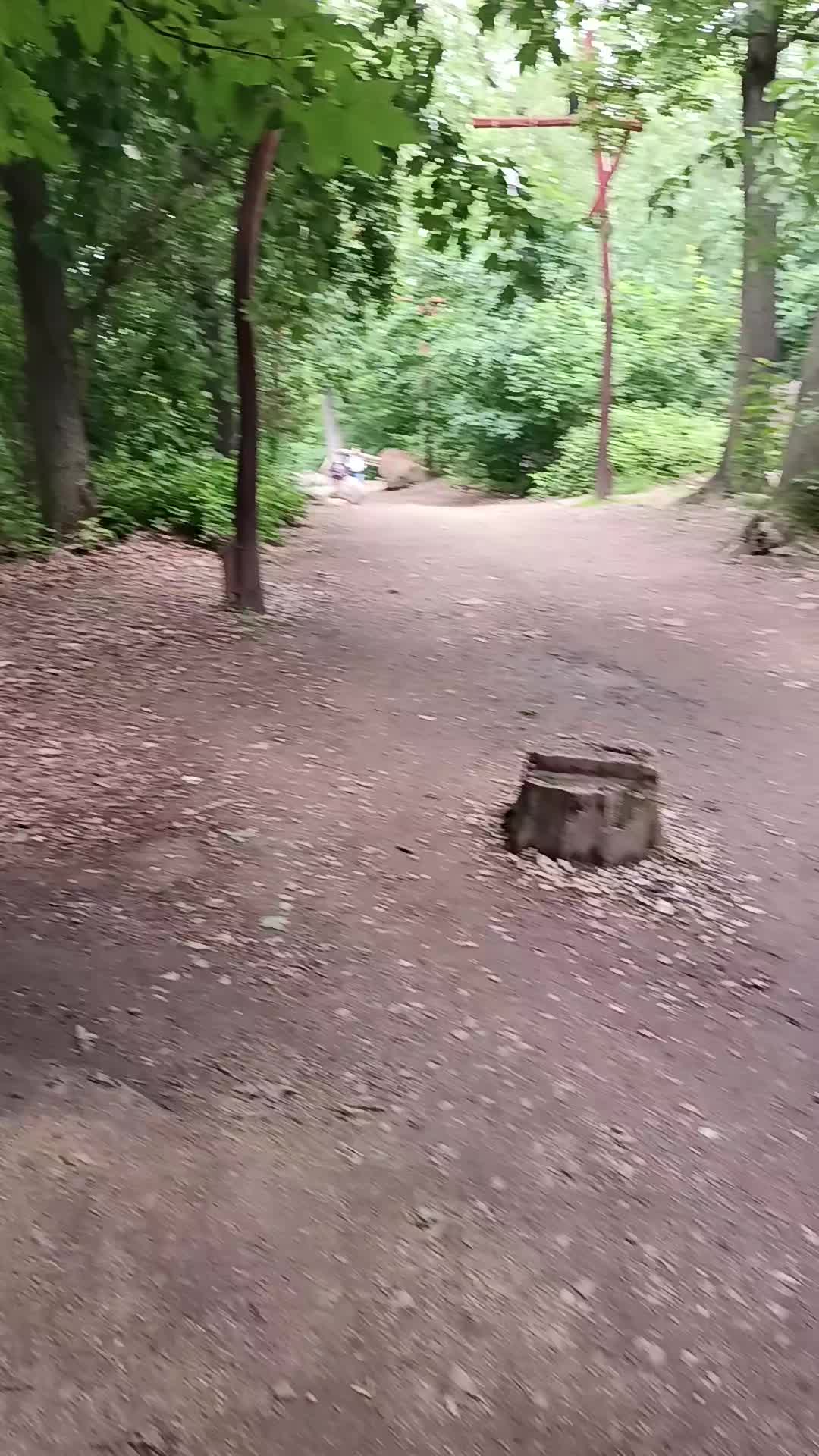 @Aušra 🇱🇹❤️🇩🇪❤️