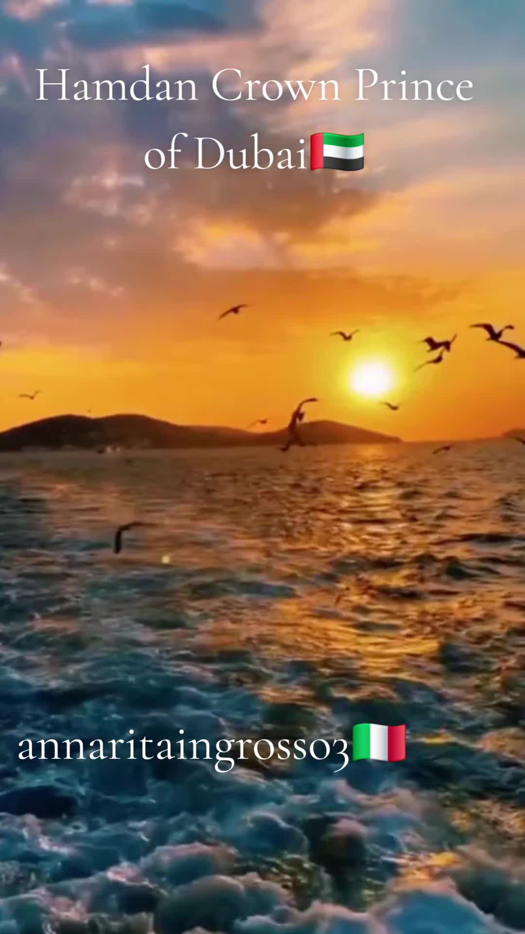 @annaritaingrosso3