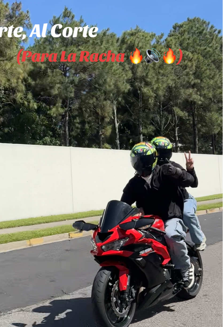 @HONDA GROM 125cc