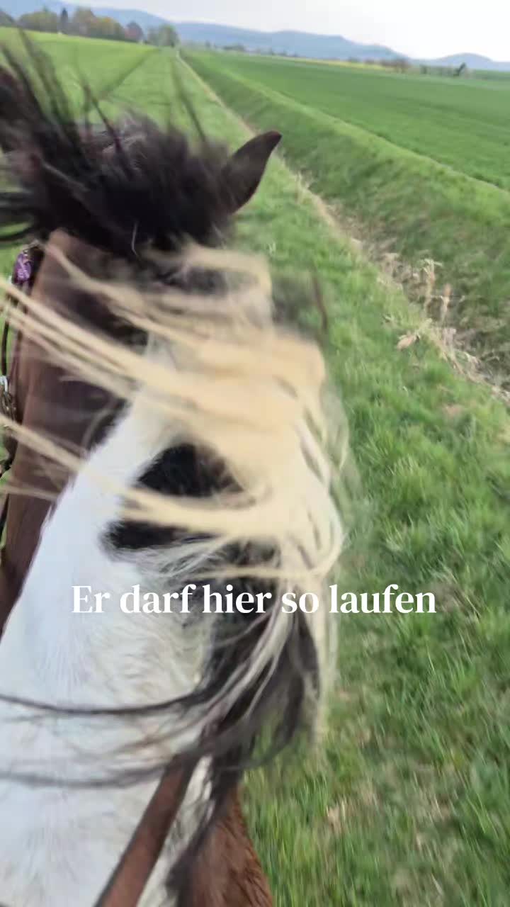 @Herzenspferdanuuk