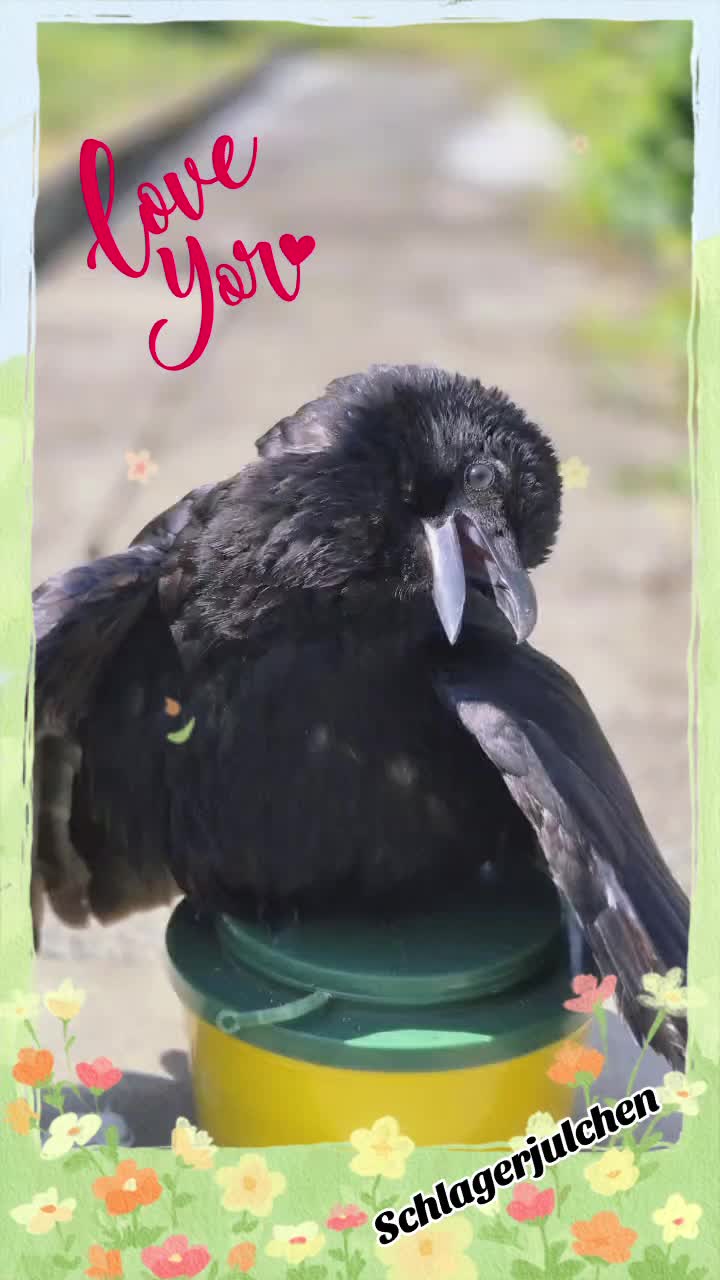 @โ๏ธ๏ธ๏ธ๐
๏ธ๐
ค๏ธ๐
๏ธ๐
๏ธ๐
๏ธ๐
๏ธ๐
๏ธโ๏ธ๏ธ๏ธ