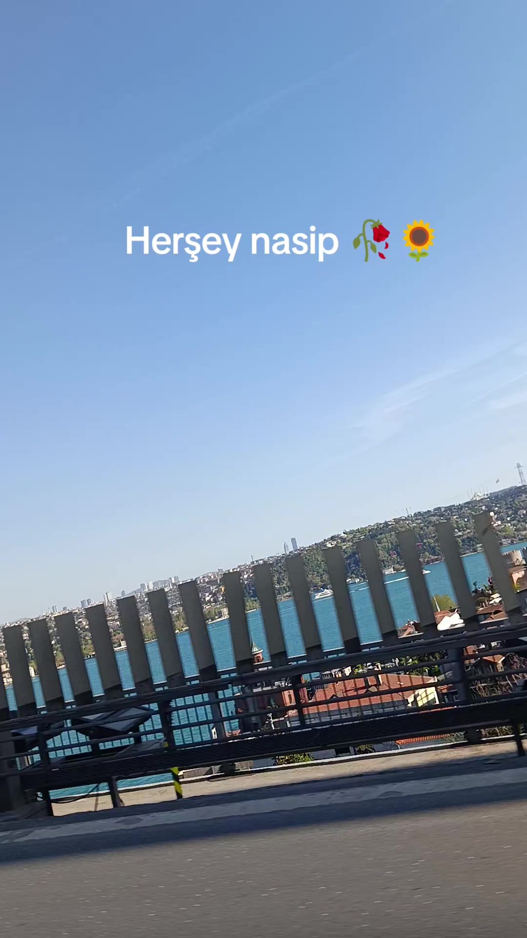 @Gizem Aygün.19