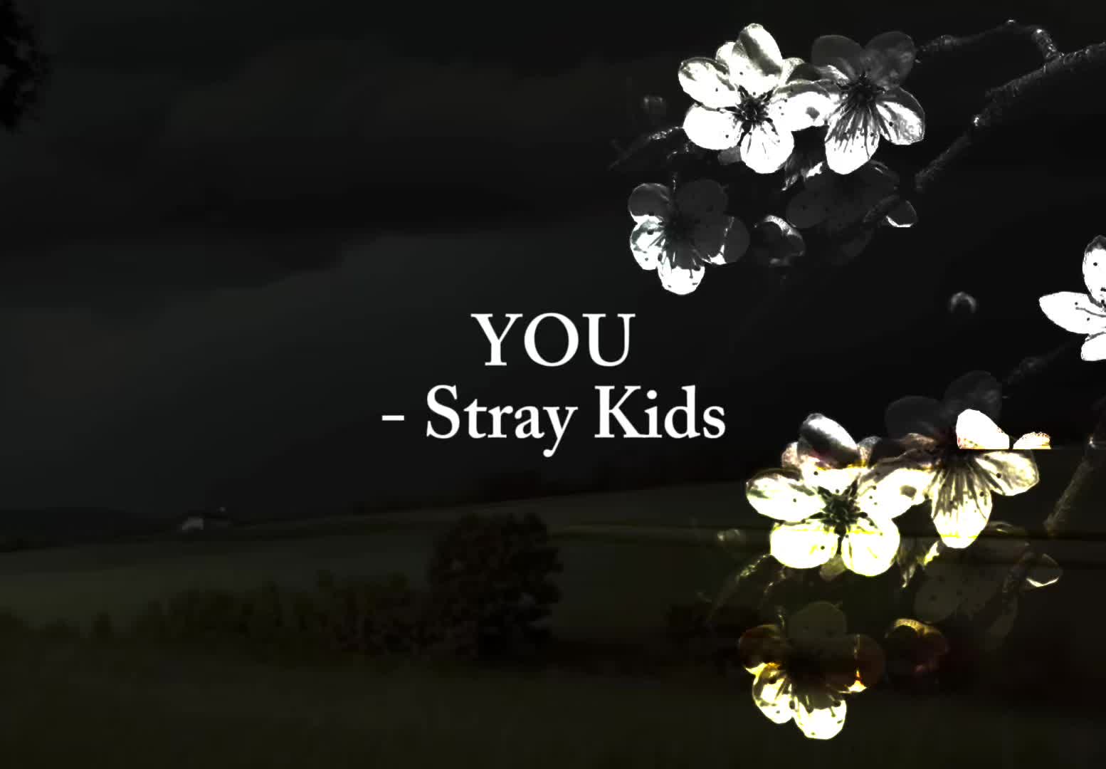 @🐚 ⟡݁₊ .&middot;˚. RYRY ┊͙ TXT ✮⋆˙.