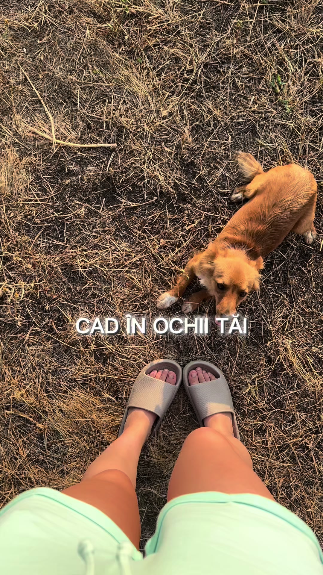 @))))