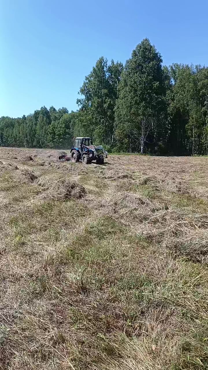 @55 Николайхрамов✌️✌️