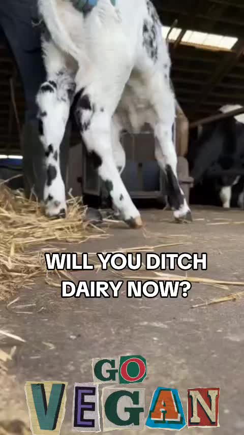 @Khaby Go Vegan