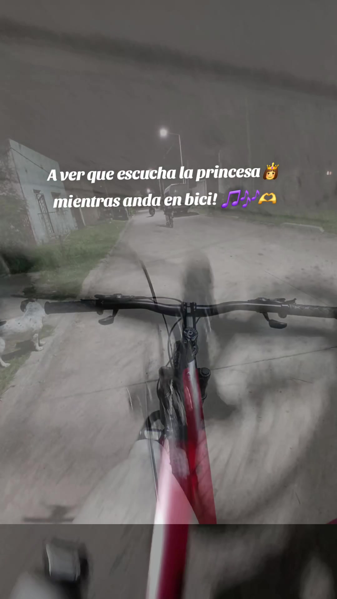 @Estefy 🍒🦿