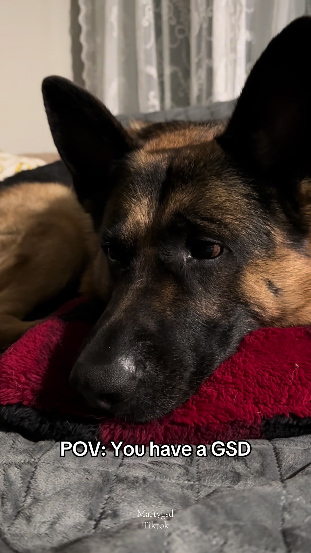 @Martygsd