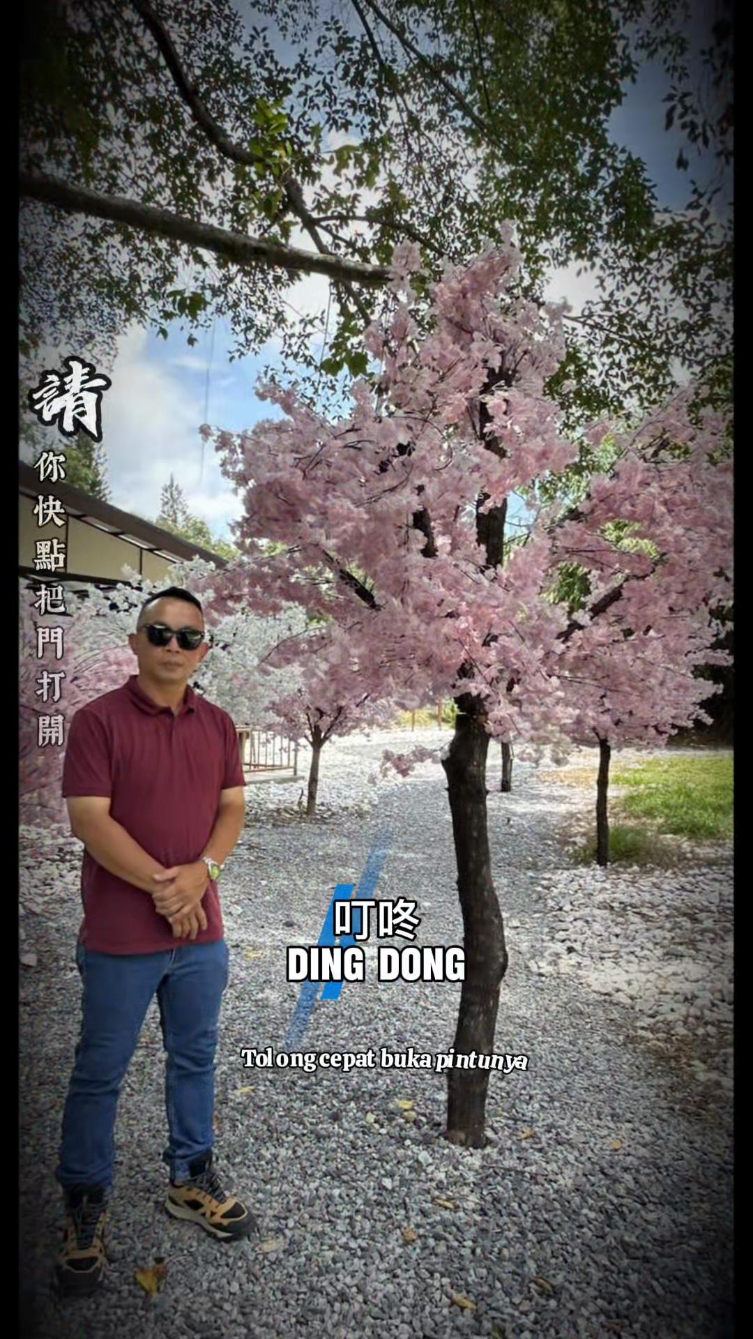 @Kok Keong