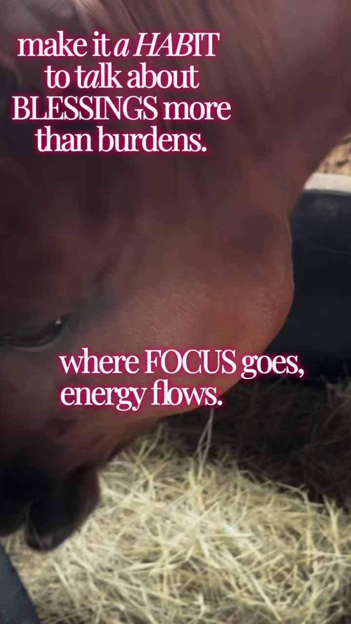 @Horselife