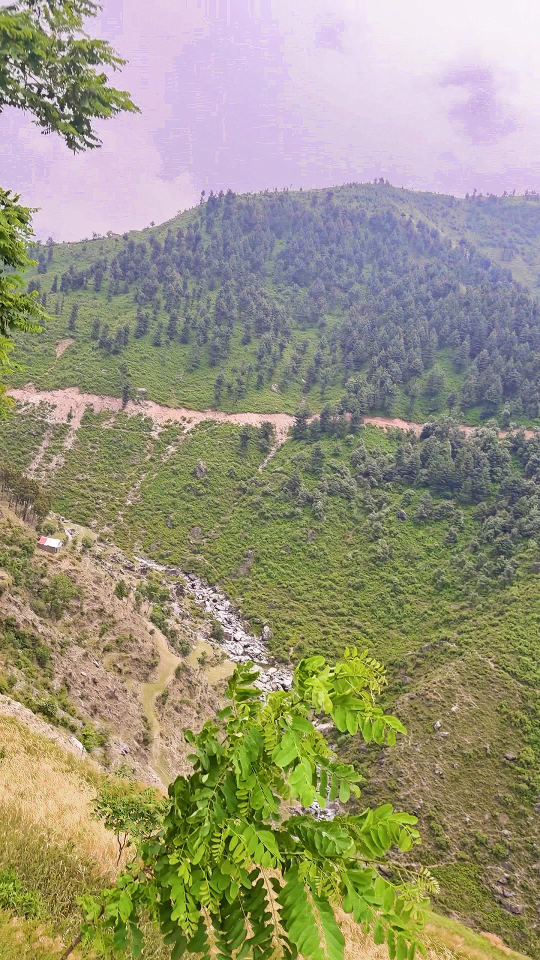 @Zahoornawab47